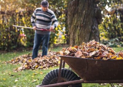 Preventing Fall Back Pain